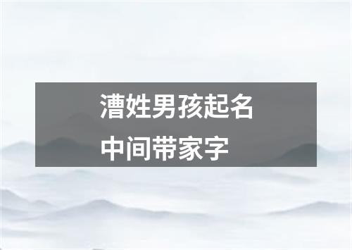 漕姓男孩起名中间带家字