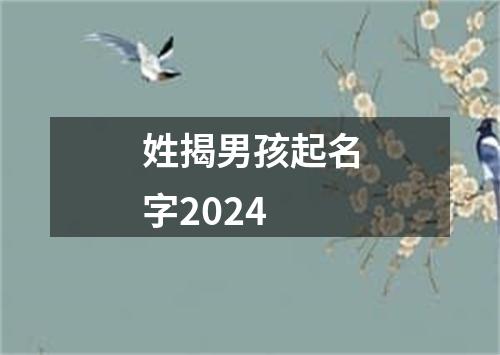 姓揭男孩起名字2024