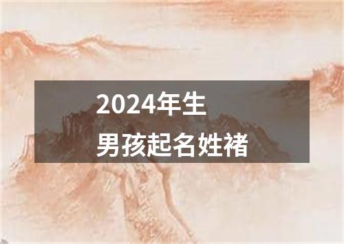 2024年生男孩起名姓褚