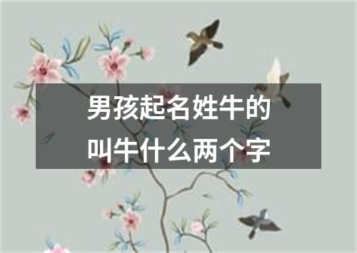 男孩起名姓牛的叫牛什么两个字