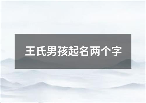 王氏男孩起名两个字