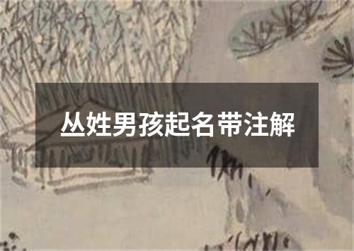 丛姓男孩起名带注解