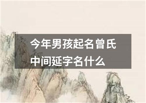 今年男孩起名曾氏中间延字名什么