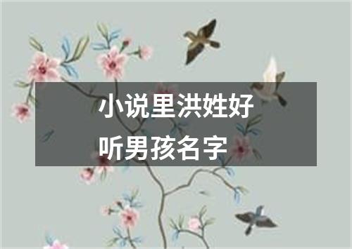 小说里洪姓好听男孩名字