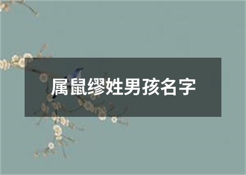 属鼠缪姓男孩名字