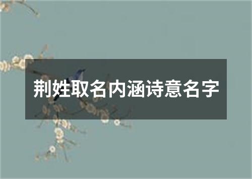 荆姓取名内涵诗意名字