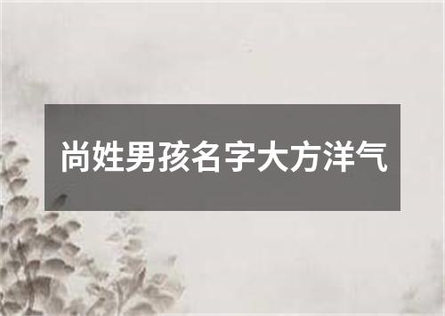 尚姓男孩名字大方洋气