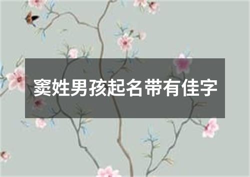 窦姓男孩起名带有佳字