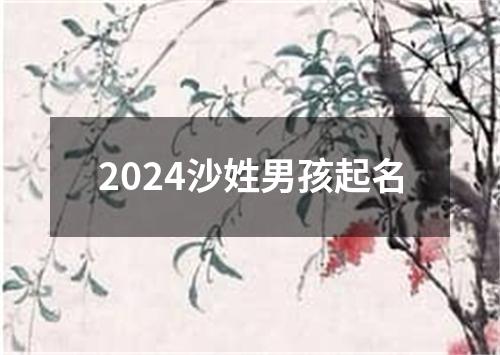 2024沙姓男孩起名