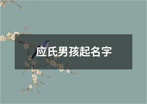 应氏男孩起名字