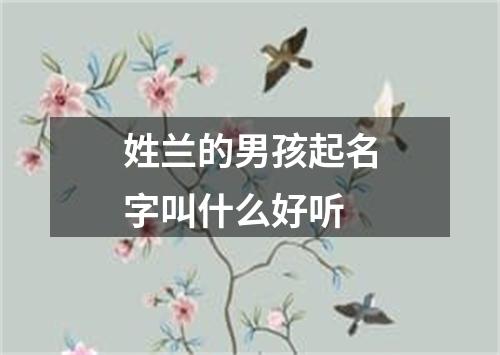 姓兰的男孩起名字叫什么好听