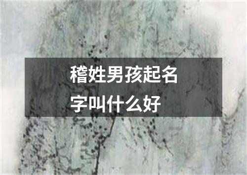 稽姓男孩起名字叫什么好