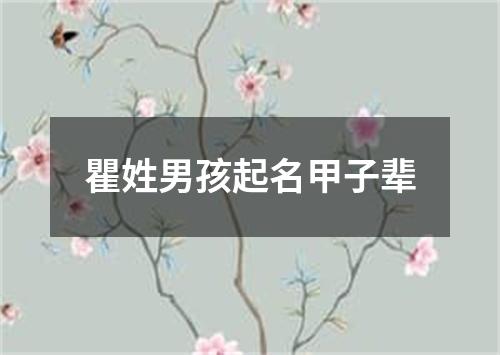 瞿姓男孩起名甲子辈