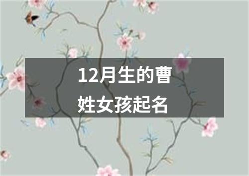 12月生的曹姓女孩起名