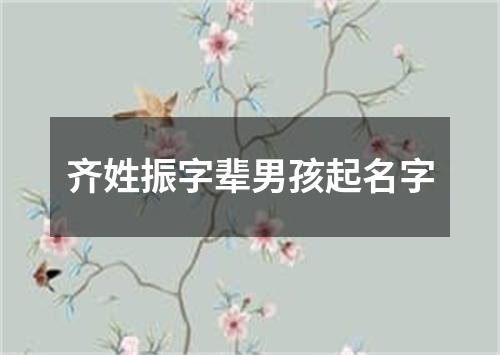 齐姓振字辈男孩起名字