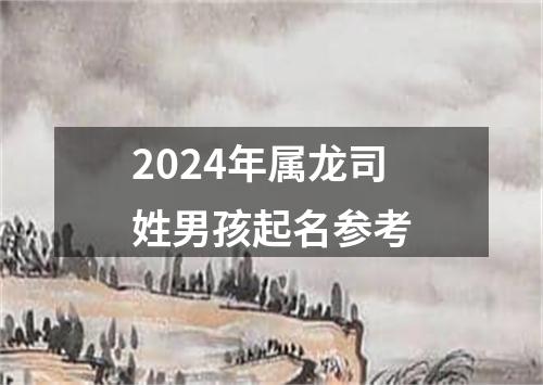 2024年属龙司姓男孩起名参考