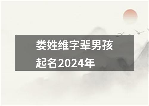 娄姓维字辈男孩起名2024年