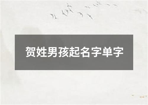 贺姓男孩起名字单字