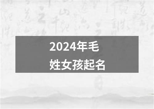 2024年毛姓女孩起名