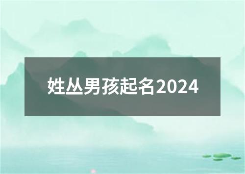 姓丛男孩起名2024