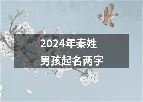 2024年秦姓男孩起名两字