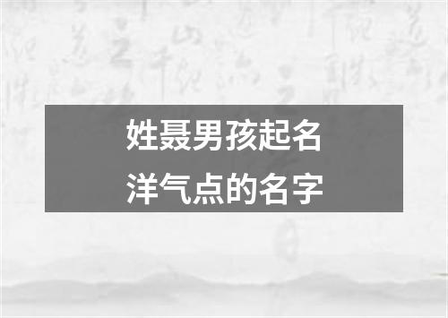 姓聂男孩起名洋气点的名字