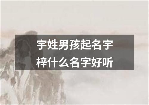 宇姓男孩起名宇梓什么名字好听