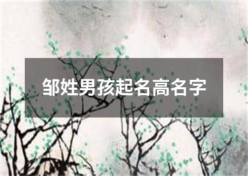 邹姓男孩起名高名字