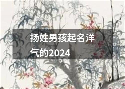 扬姓男孩起名洋气的2024