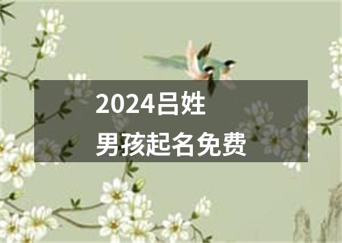 2024吕姓男孩起名免费