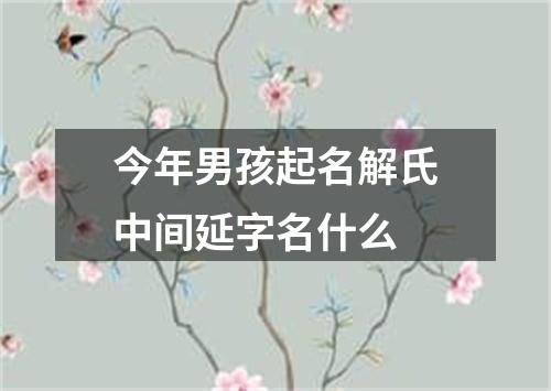 今年男孩起名解氏中间延字名什么