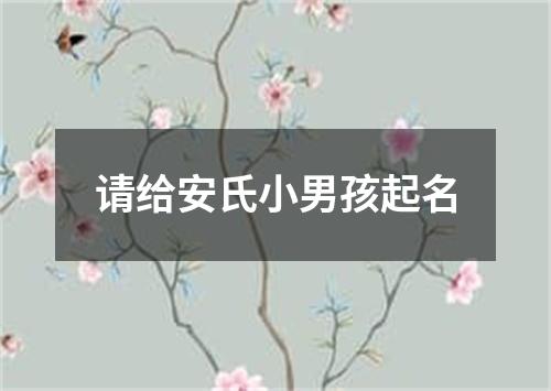 请给安氏小男孩起名