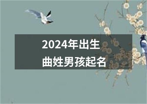 2024年出生曲姓男孩起名