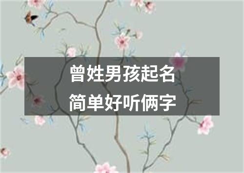 曾姓男孩起名简单好听俩字