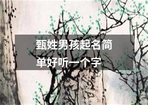 甄姓男孩起名简单好听一个字