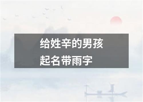 给姓辛的男孩起名带雨字