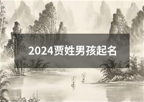 2024贾姓男孩起名