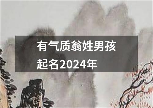 有气质翁姓男孩起名2024年