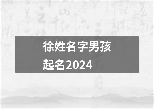 徐姓名字男孩起名2024