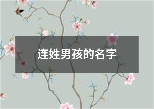 连姓男孩的名字