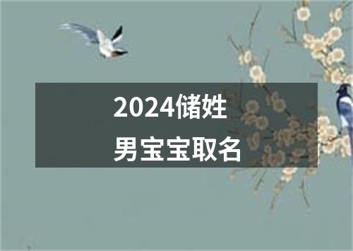 2024储姓男宝宝取名