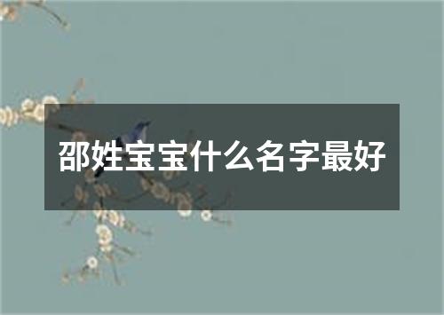 邵姓宝宝什么名字最好