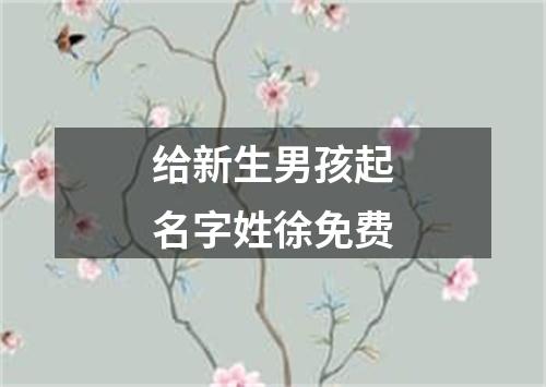 给新生男孩起名字姓徐免费