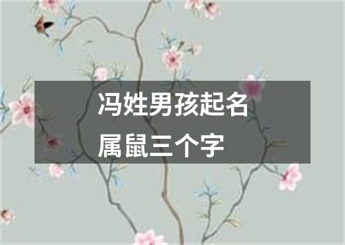 冯姓男孩起名属鼠三个字