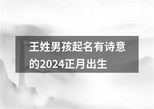 王姓男孩起名有诗意的2024正月出生