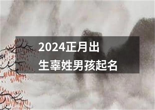 2024正月出生辜姓男孩起名