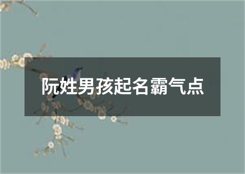 阮姓男孩起名霸气点