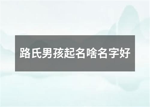 路氏男孩起名啥名字好