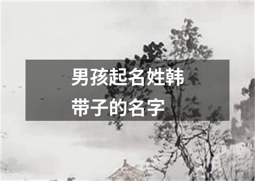 男孩起名姓韩带子的名字