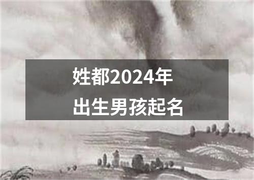 姓都2024年出生男孩起名